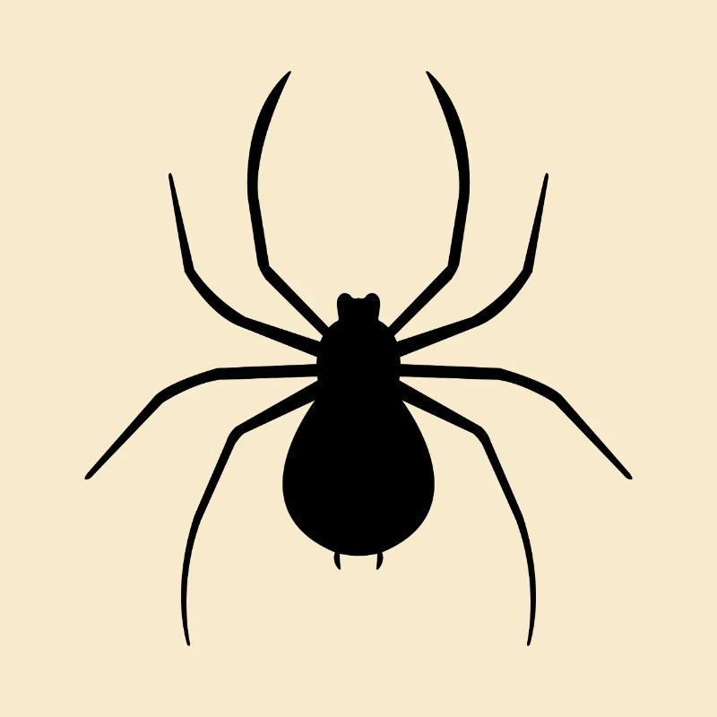 Spinne