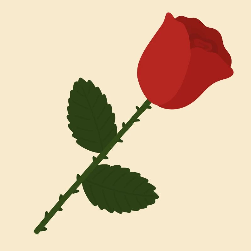 Rose Illustration