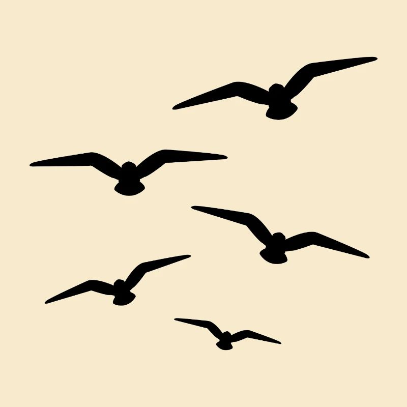 Volée d’oiseaux