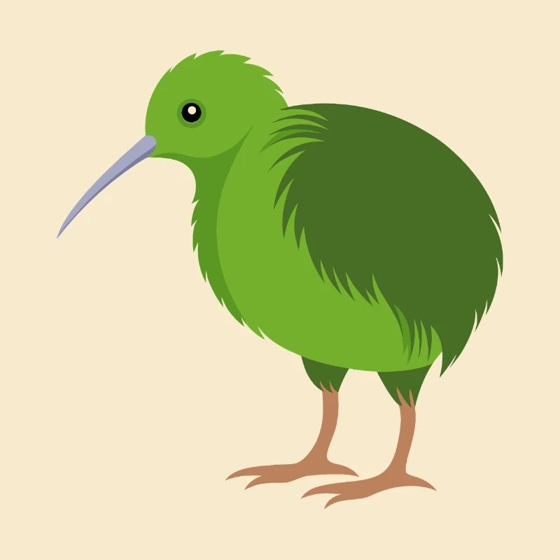 Oiseau kiwi
