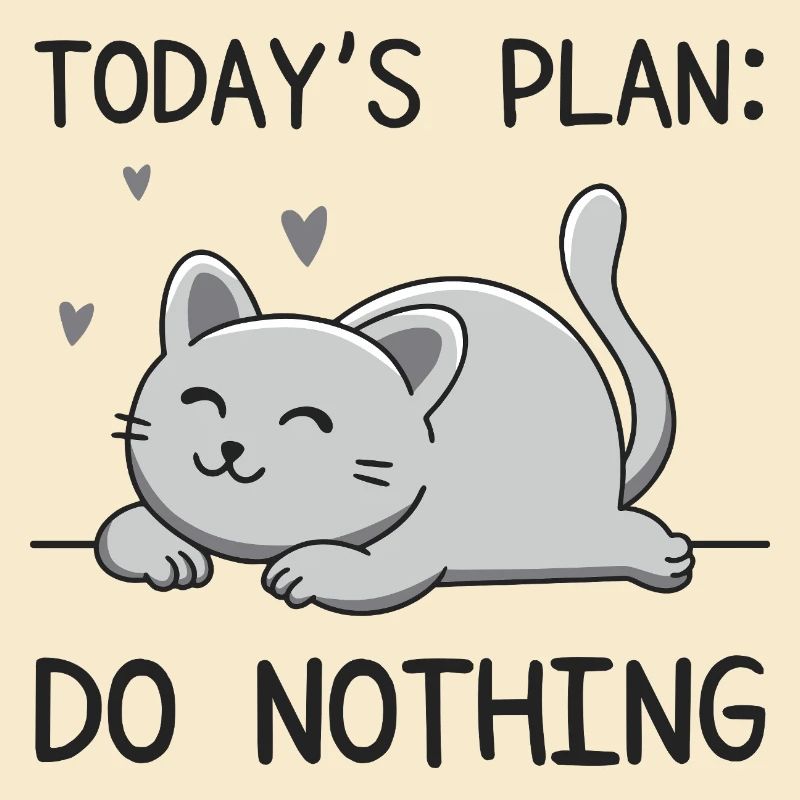 Today's Plan
