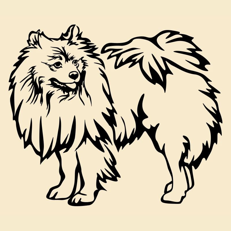 Spitz