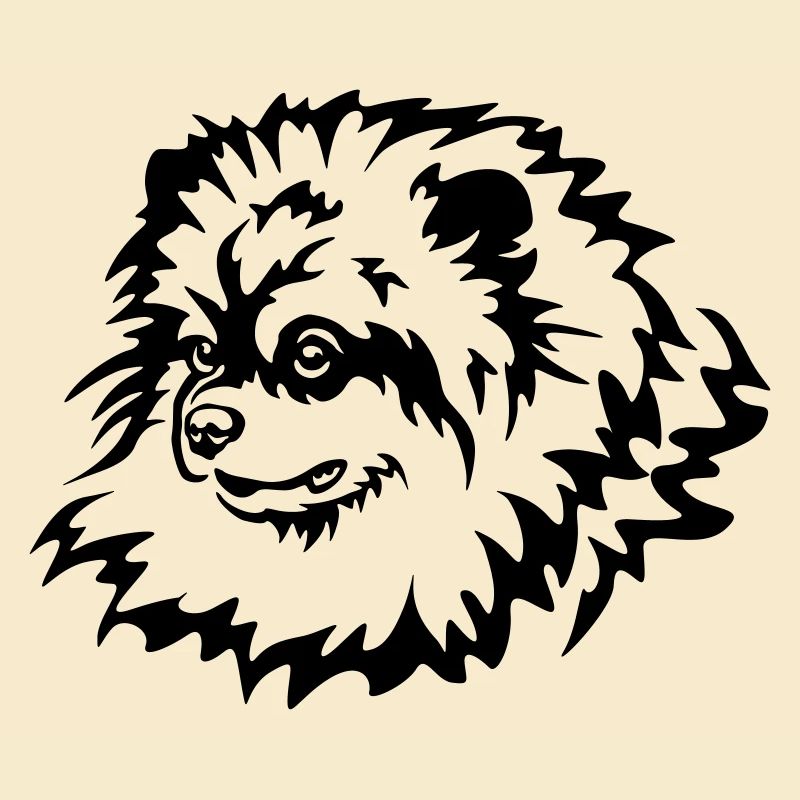 Miniature Spitz Head