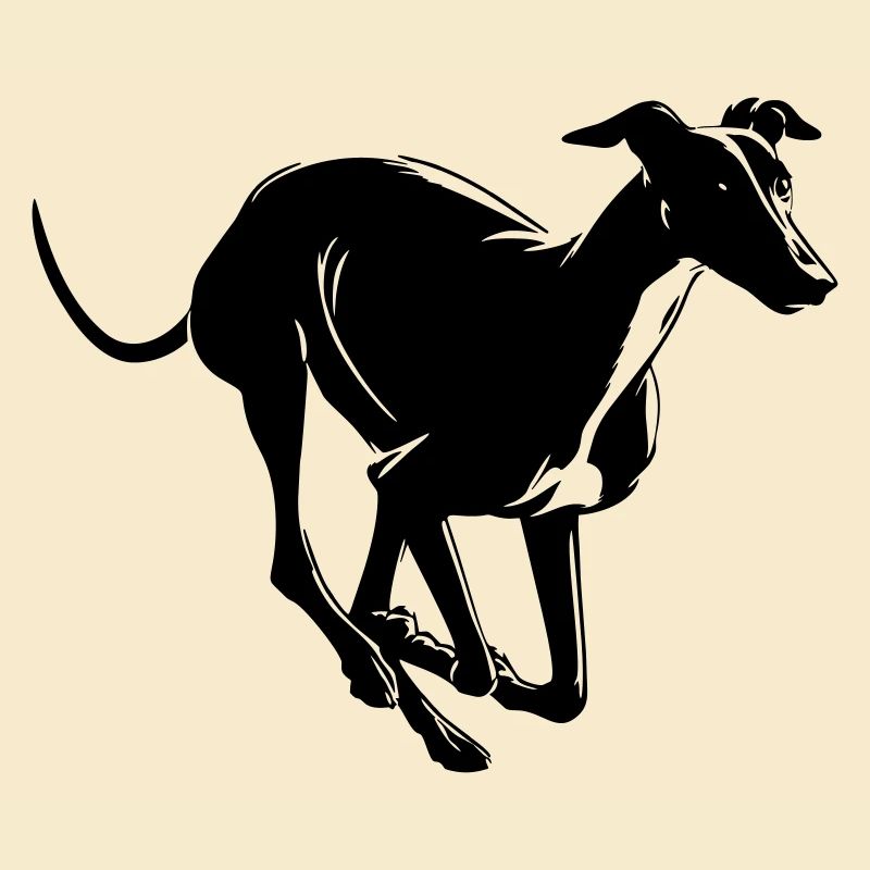 Greyhound