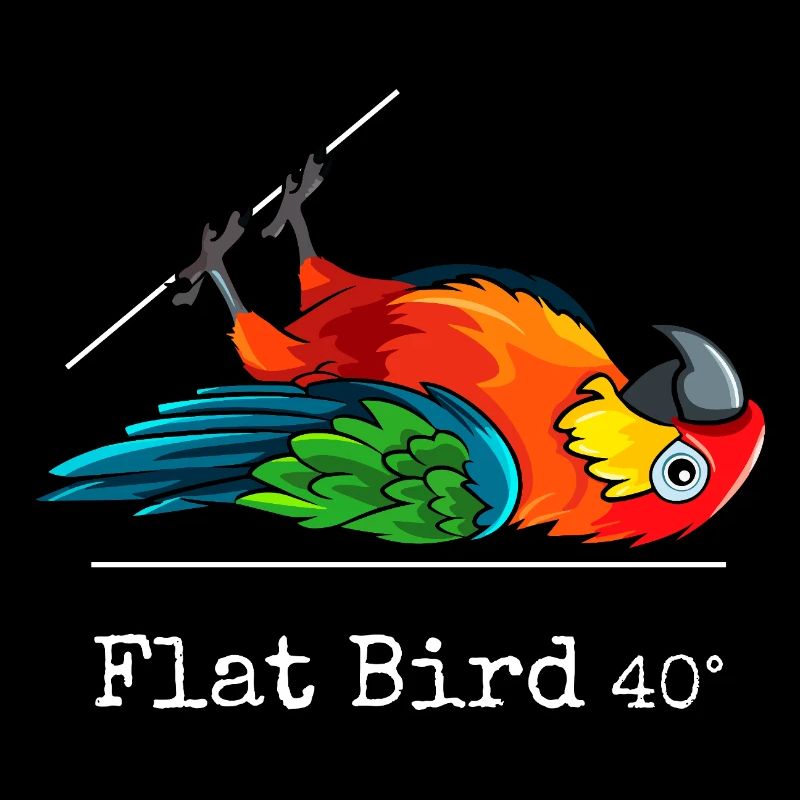 Flat Bird at 40 degrees