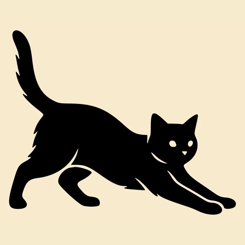 chat