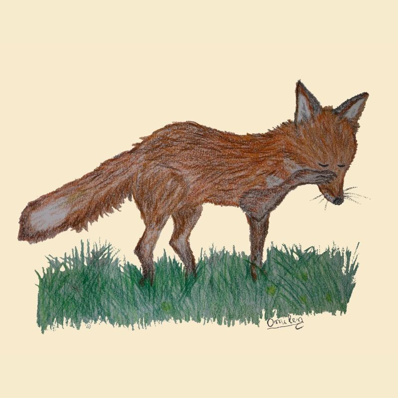 Ich bin nur ein Fuchs