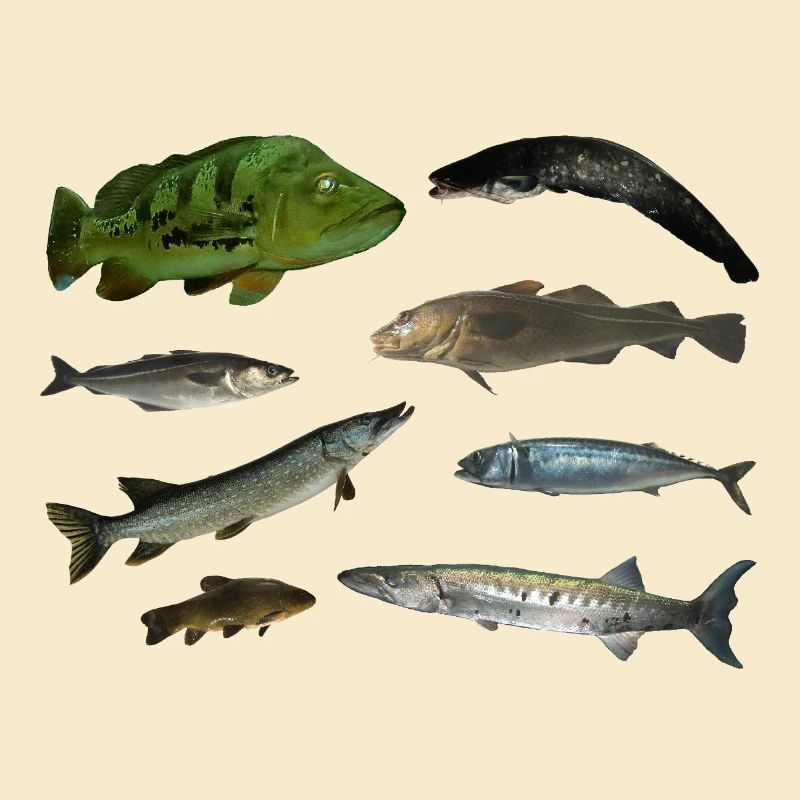 Pisces