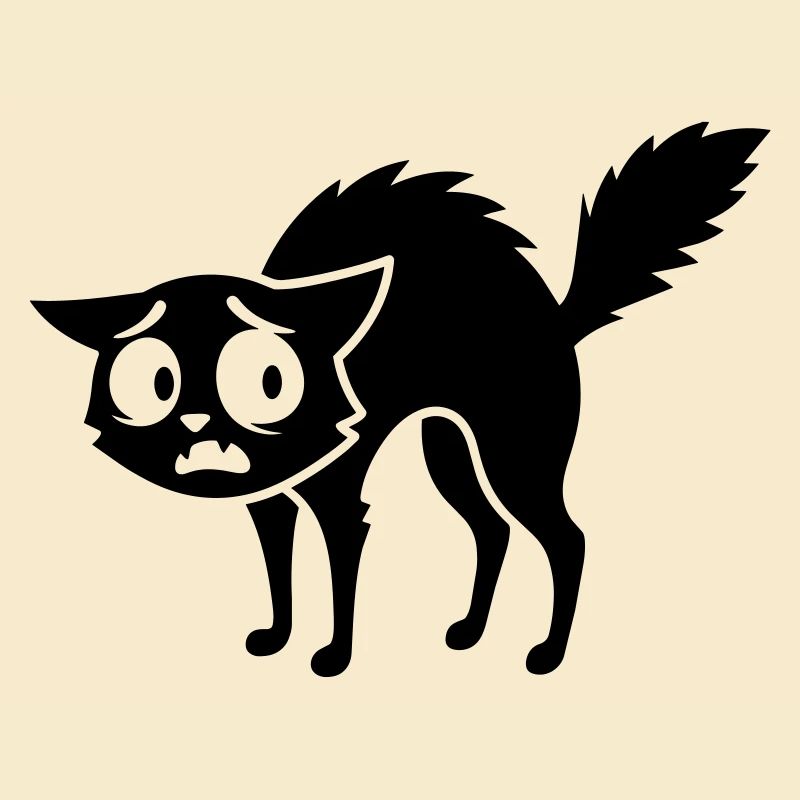 Chat effrayé