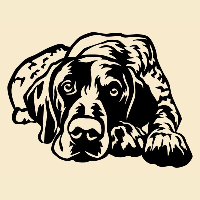 German Shorthaired Pointer