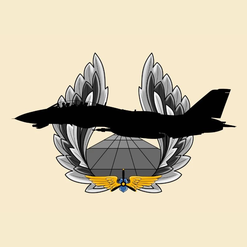 F-14 Tomcat