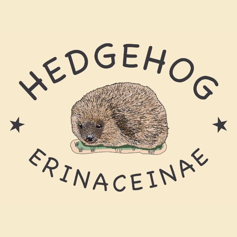Echter Igel, wissenschaftlicher Name, Englisch