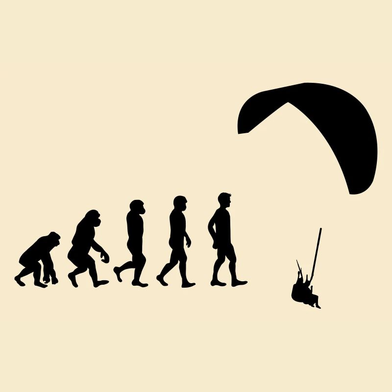 Evolution glider