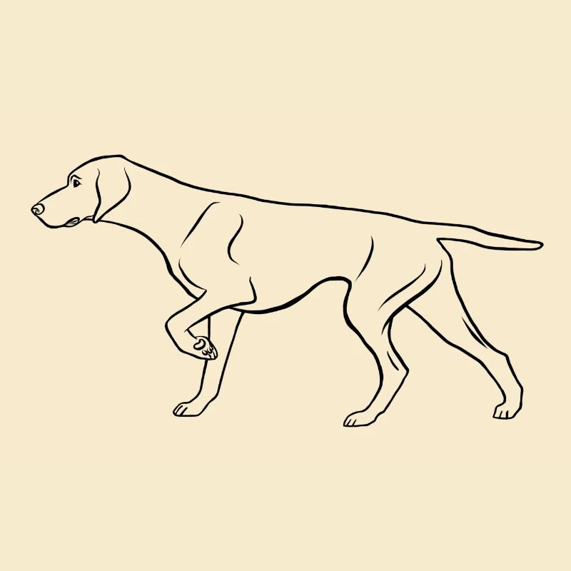 Dt. Shorthaired Pointer, prominent