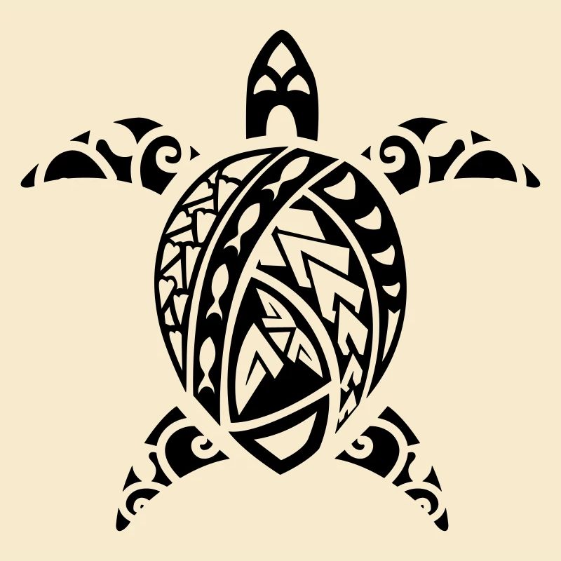 maori turtle