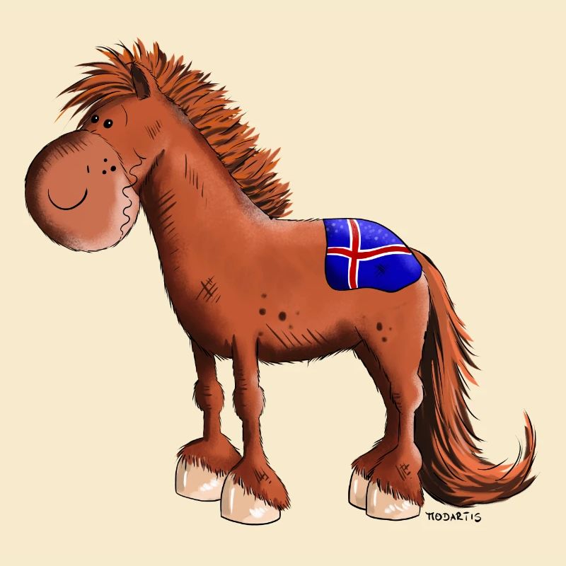 Isländer mit Fahne