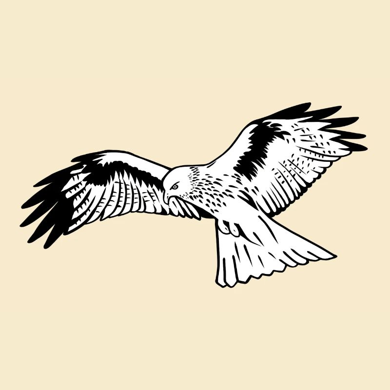 Falcon