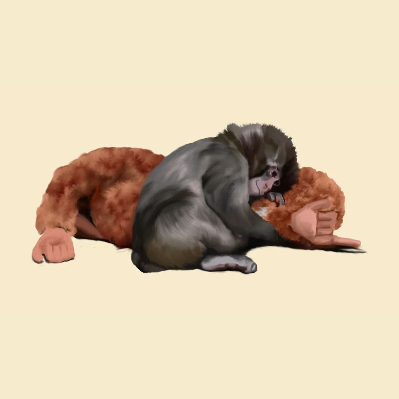 Punch - das Äffchen