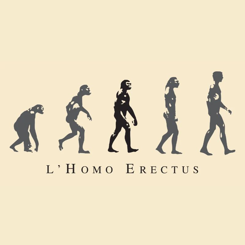 Évolution de la Position Humaine