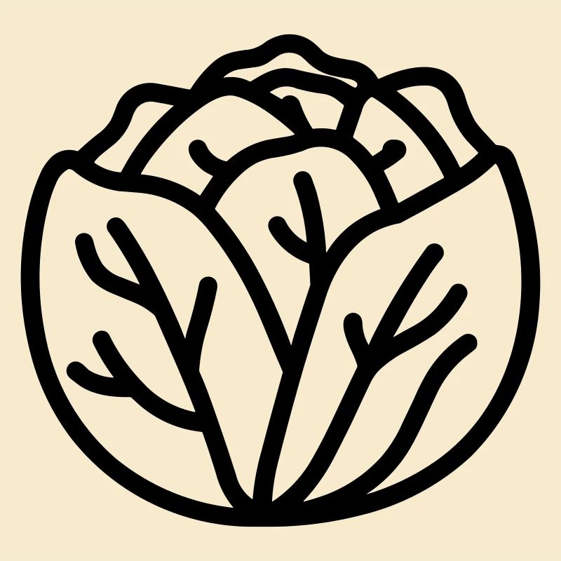 cabbage
