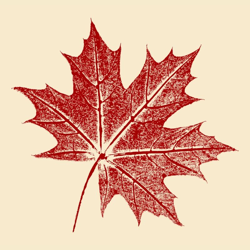 Maple leaf