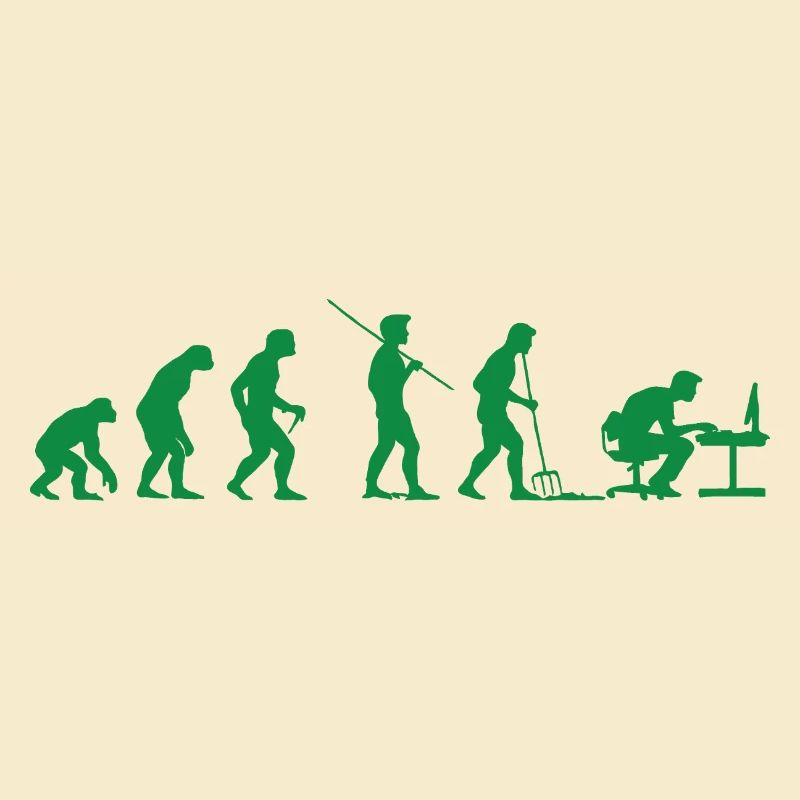 Programmeur Évolution Informaticien Développeur