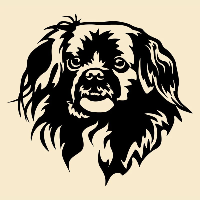 Tibetan Spaniel Head