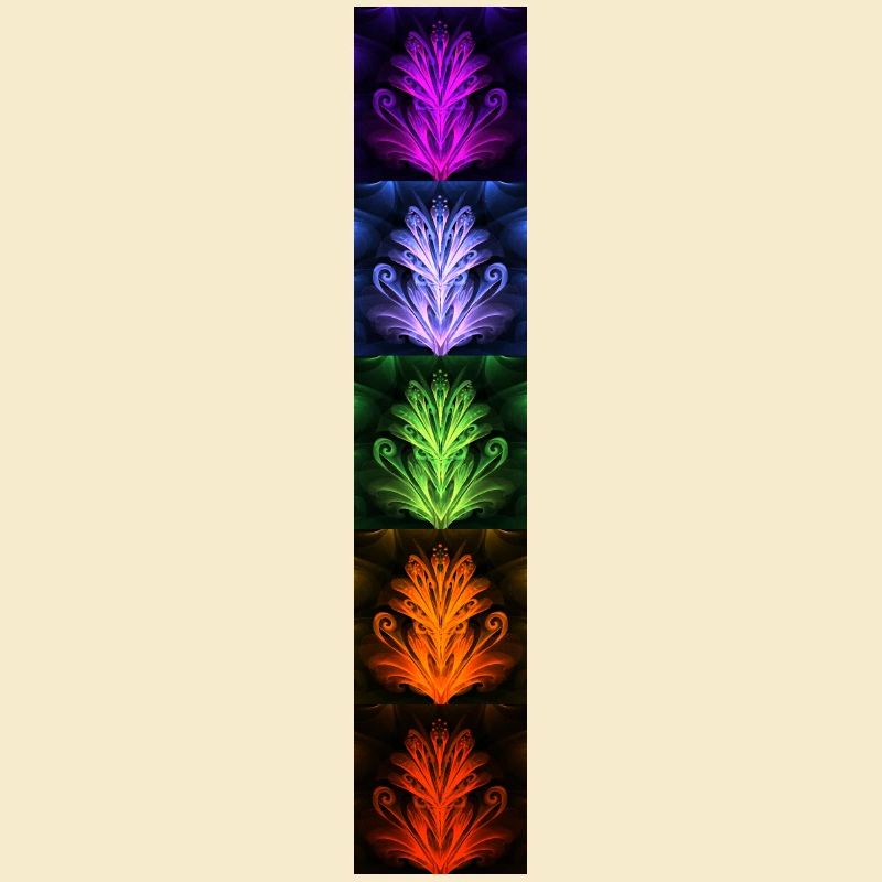 Nightflower Monkeyface