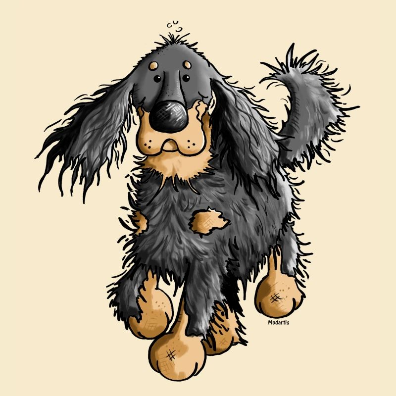 Drôle Setter Gordon - Chien