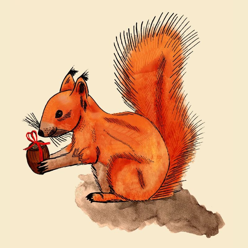 Eichhörnchen mit Geschenk
