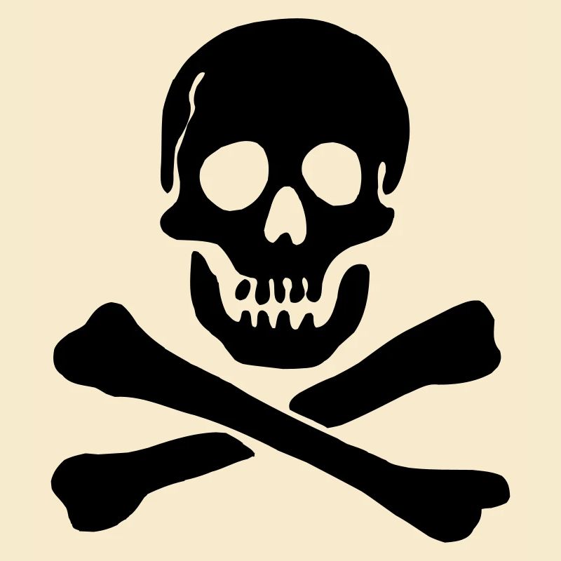 Drapeau pirate Crâne avec os croisés