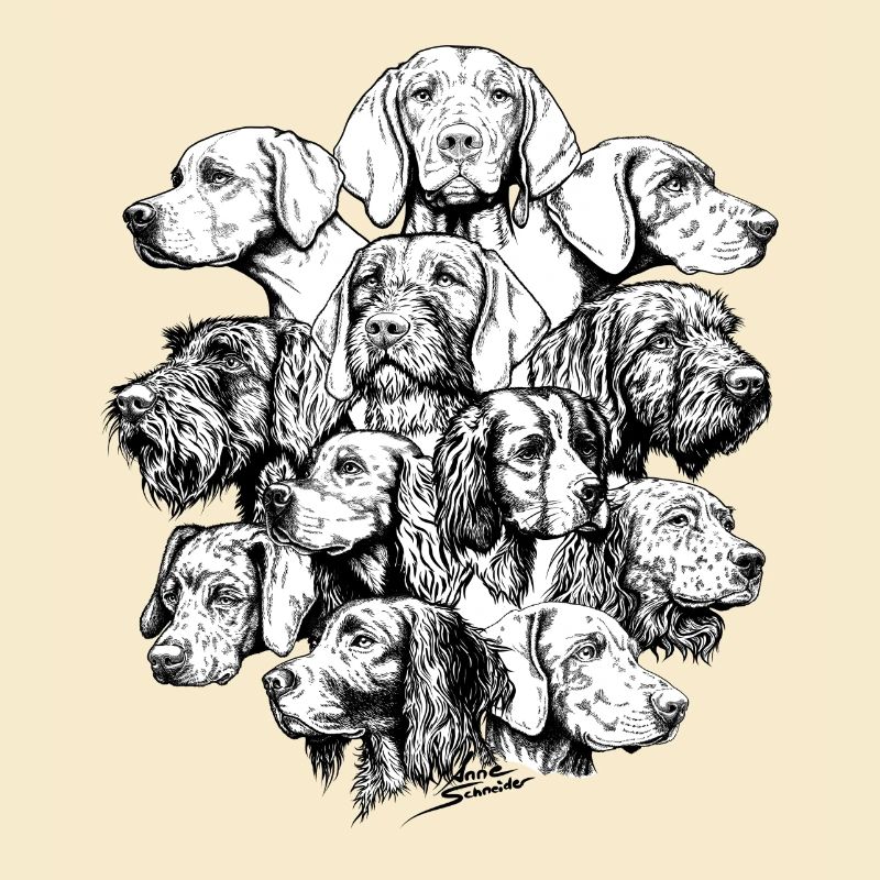 Chiens pointant des objets cachés