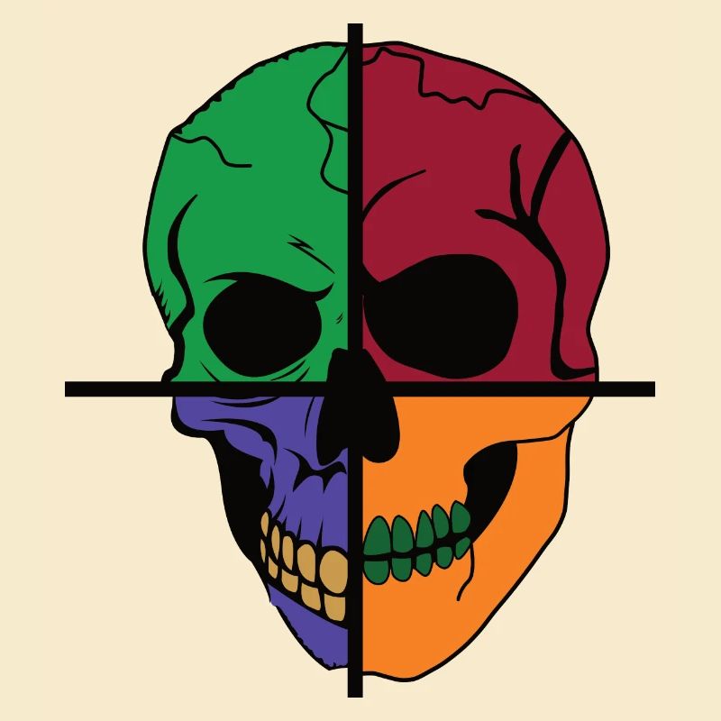 Vier geteilter Skelettschädel