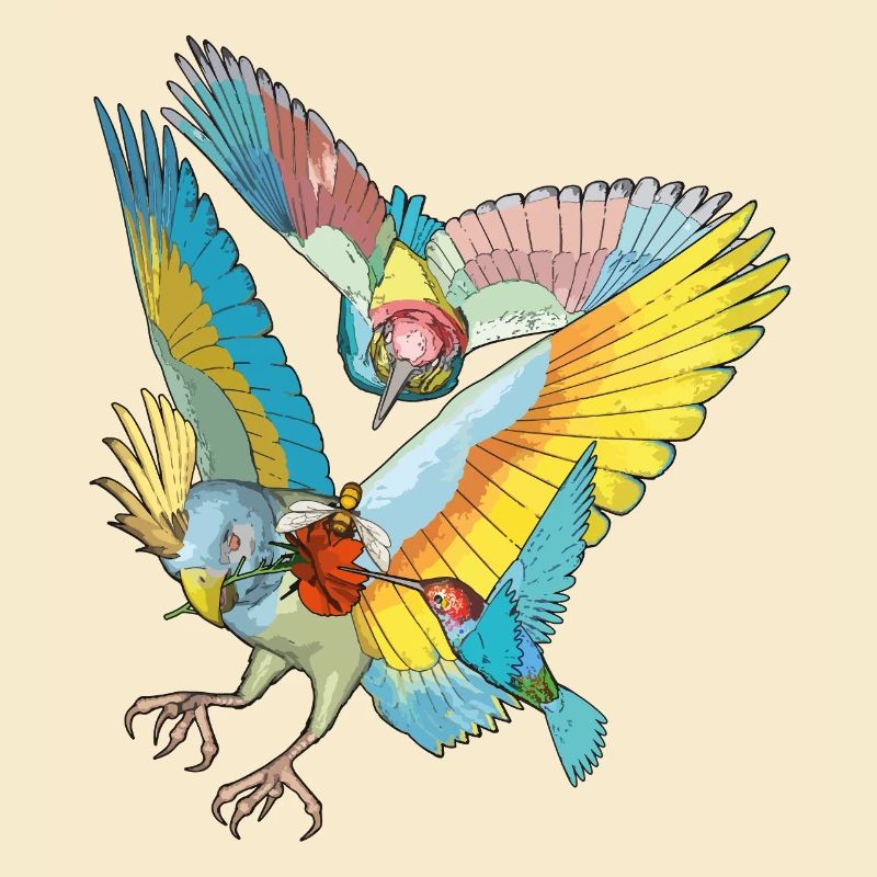 Colorful birds