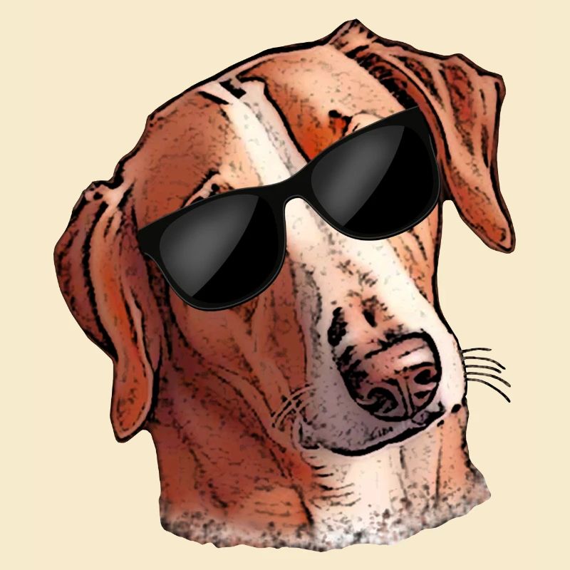 Witziger Hund SAVEBRACKE Jagdhund Sonnenbrille