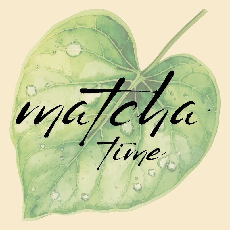 Matcha, feuille, vert, temps