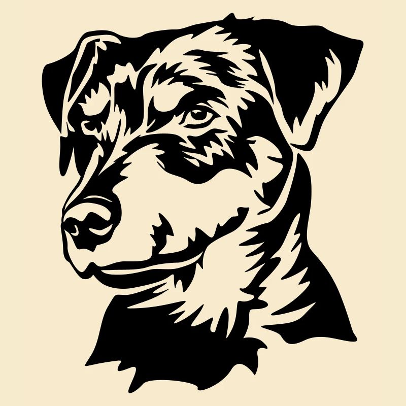 Deutscher Jagdterrier Kopf