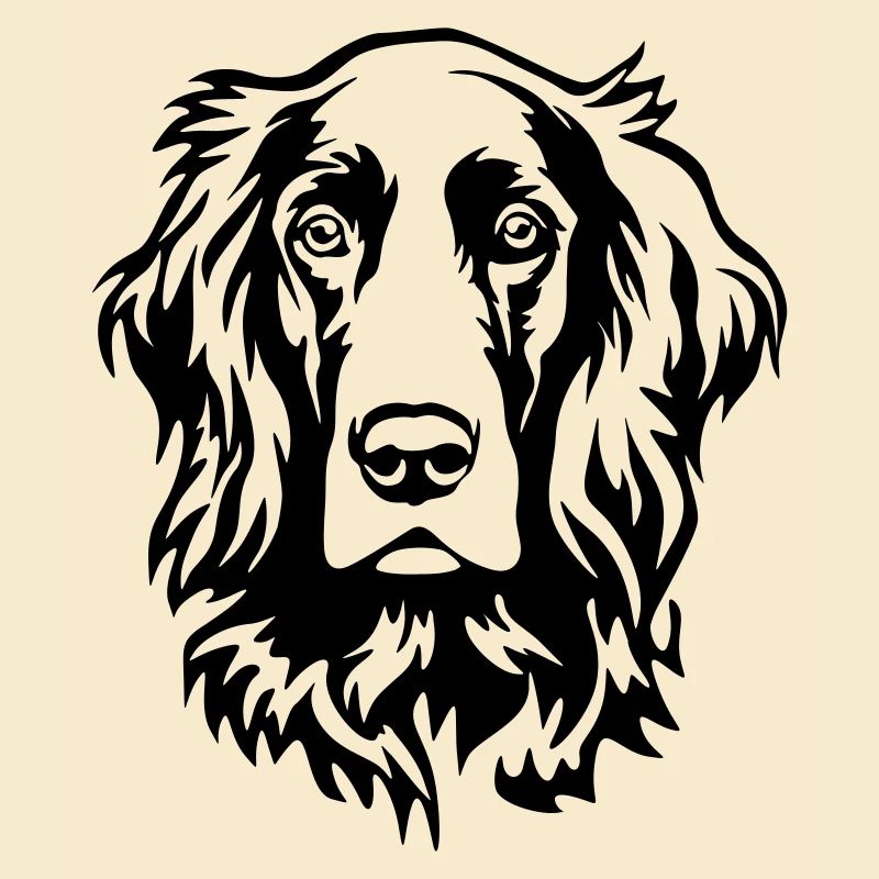 Irish Setter Head