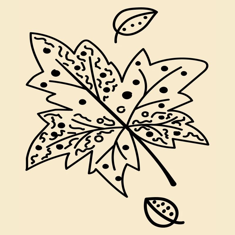 Autumn Leaf