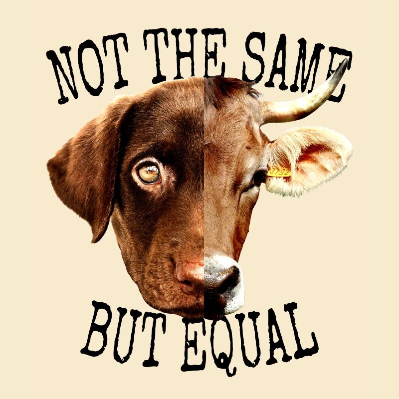 Vegan Not The Same But Equal Vegetarian Animal Lover