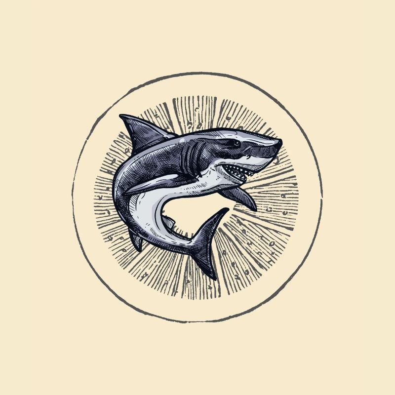 Dancing Shark