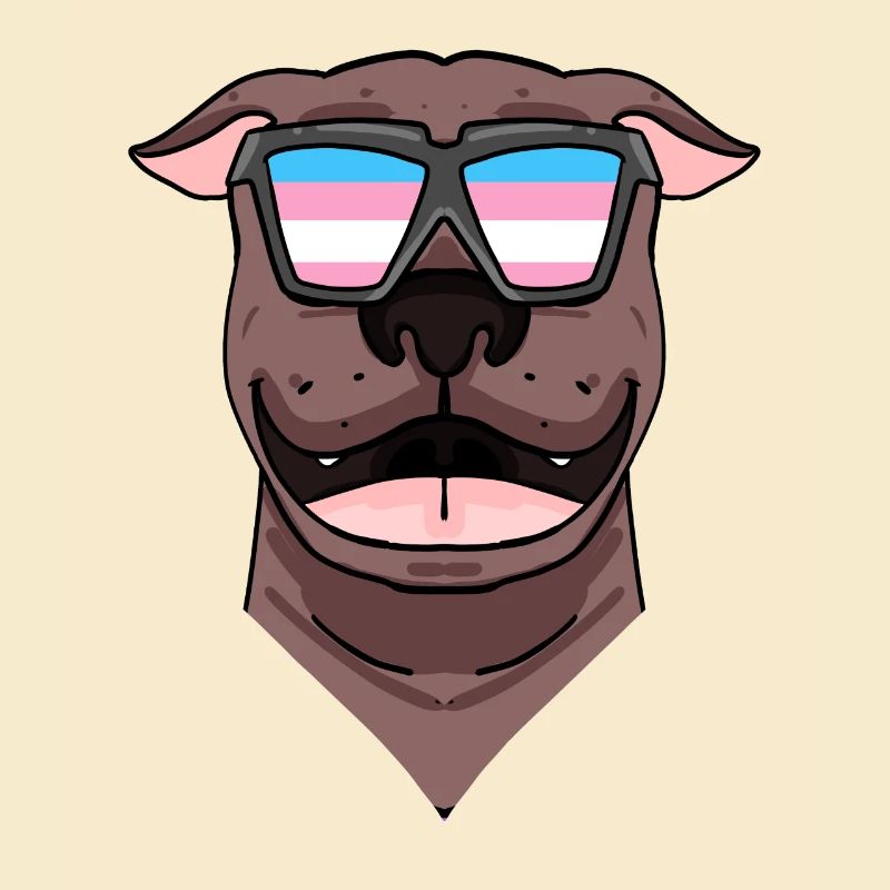 American Dog