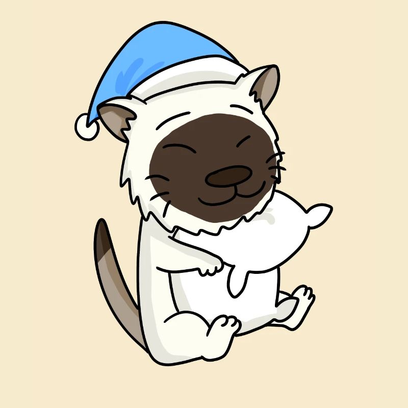 Chat race de chat Birmanie