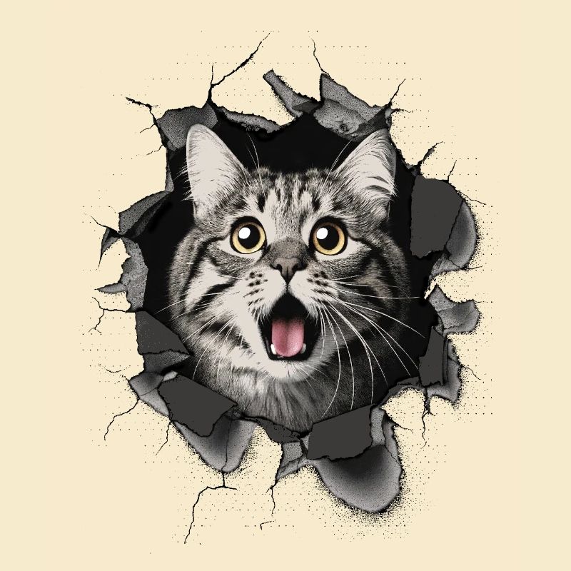 Katze erschrocken Mauer Durchbruch Risse 