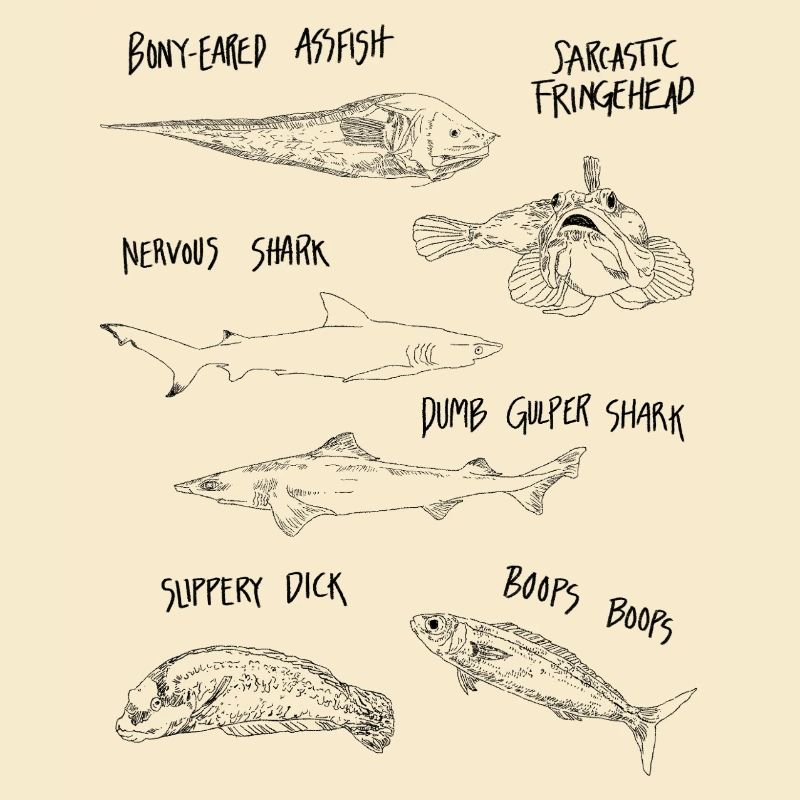 DRÔLE de POISSON