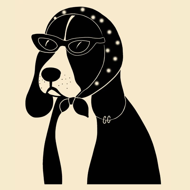 Beagle avec style