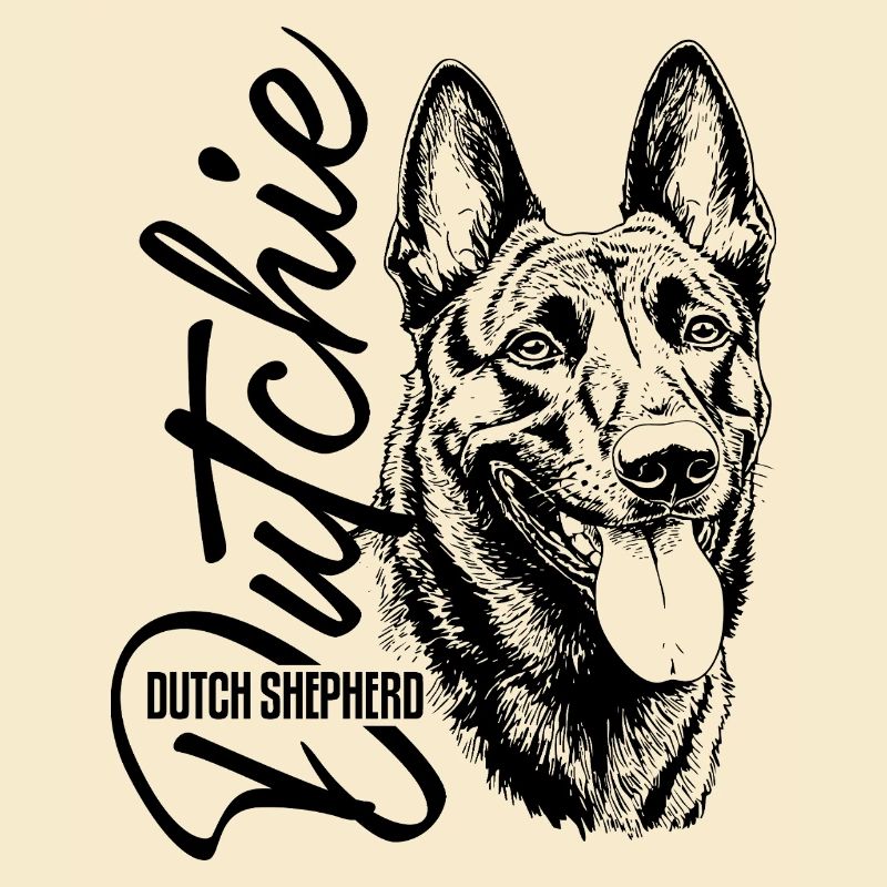 Dutchie - Holländischer Schäferhund