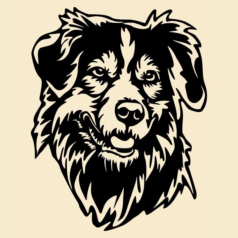 Tête de Shepherd australien