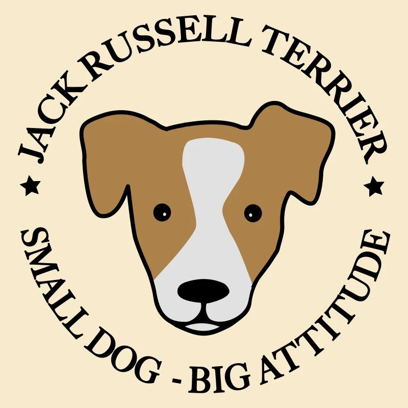 Jack Russell Terrier