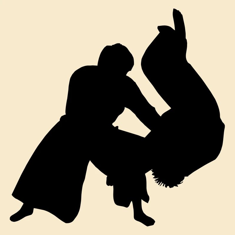 Aikido throw